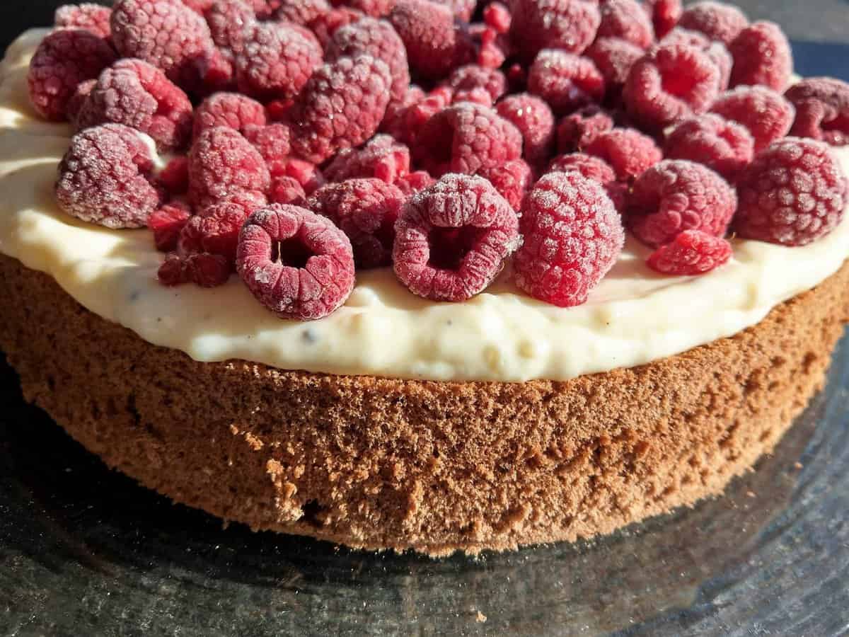 Backen wie die Oma - Himbeerkuchen mit Schokoladenbiskuit und ...